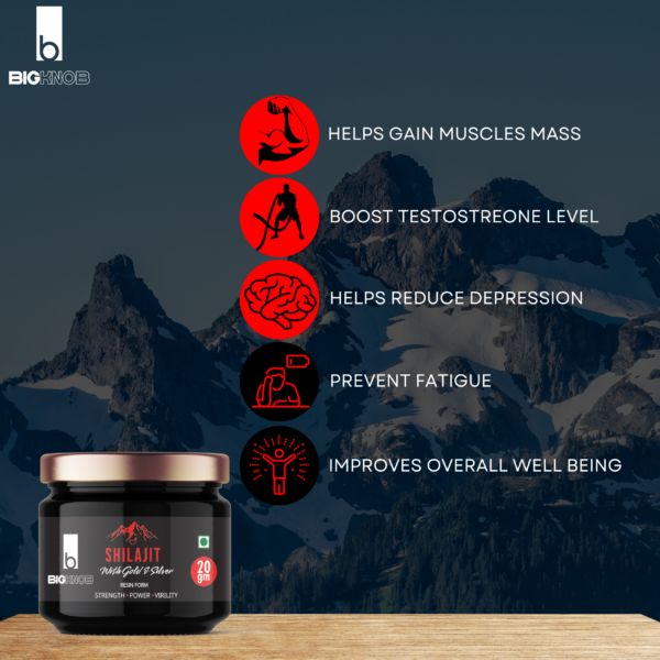 BigKnob Shilajit Resin Infused with Gold & Silver Energy Strength Power Stamina 20gm - Image 3